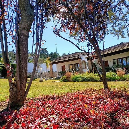 Villa Tottam Art & Healthy Garden à Málaga Extérieur photo
