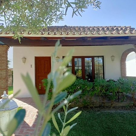 Villa Tottam Art & Healthy Garden à Málaga Extérieur photo