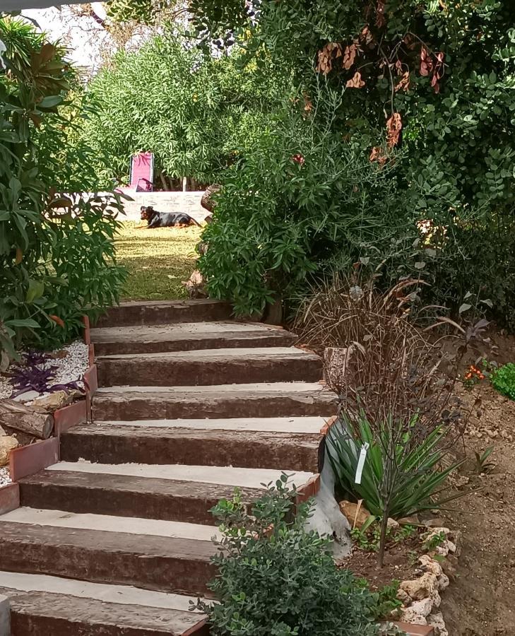 Villa Tottam Art & Healthy Garden à Málaga Extérieur photo