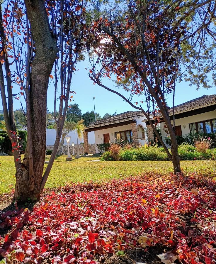 Villa Tottam Art & Healthy Garden à Málaga Extérieur photo