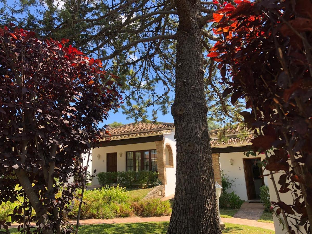 Villa Tottam Art & Healthy Garden à Málaga Extérieur photo