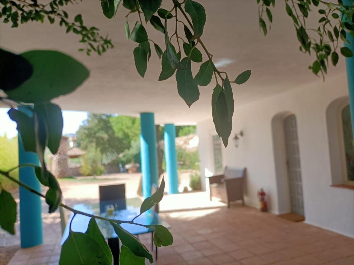 Villa Tottam Art & Healthy Garden à Málaga Extérieur photo