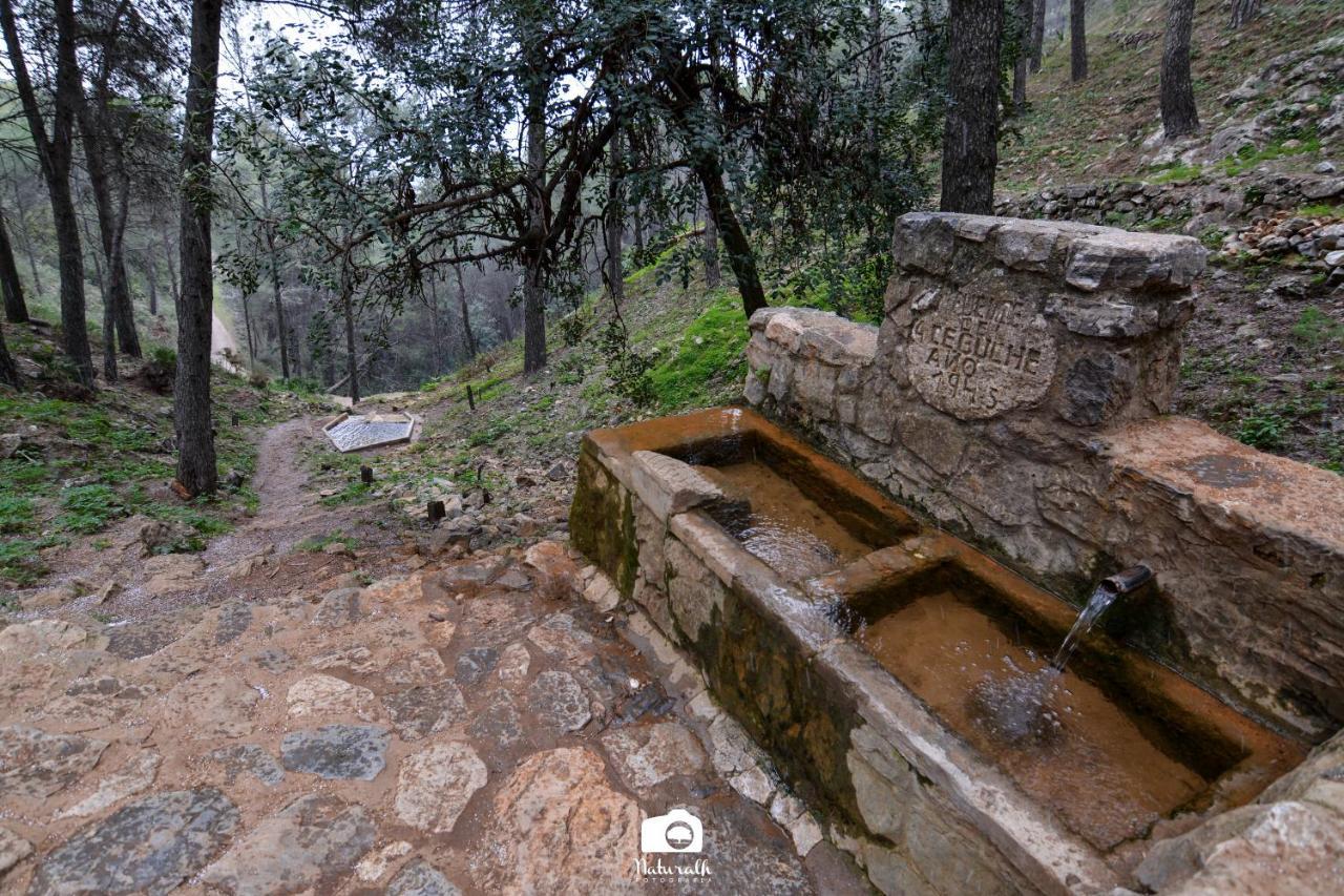 Villa Tottam Art & Healthy Garden à Málaga Extérieur photo